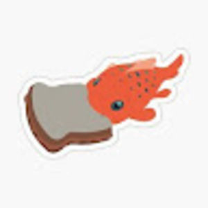 Meet your Posher, Chelsea